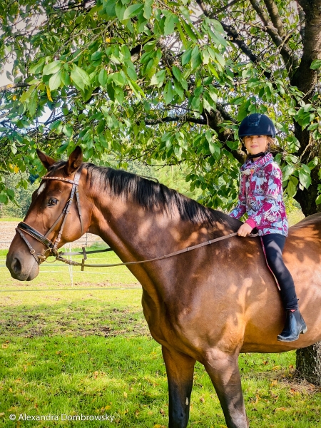 Preview: Sommersweat - Lizenz - Steinbeck - Free Horses - beere